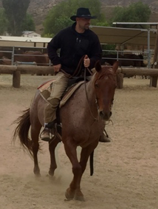 Training with a new horse Training with a new horse